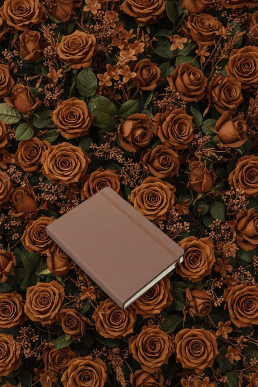 Lisa Journal